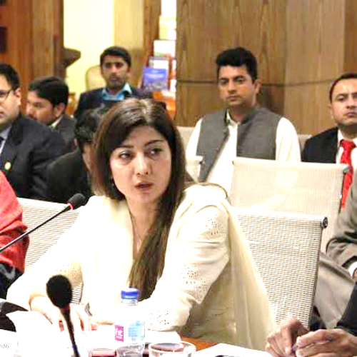 Humaira Rizvi Advisory Board - National Institute Of Maritime Affairs